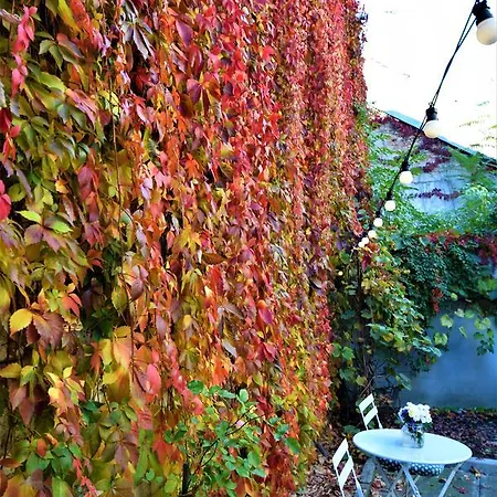 Goldsmith Bed & Breakfast Sibiu